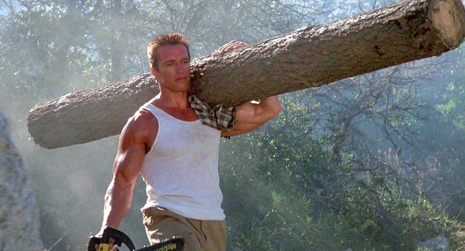Arnold in Commando